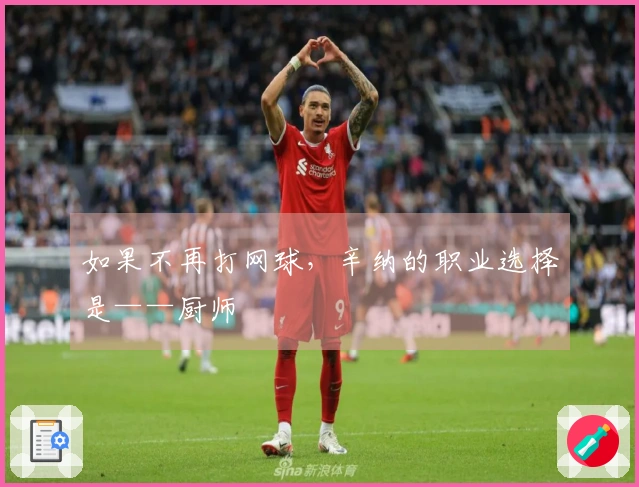 如果不再打网球，辛纳的职业选择是——厨师