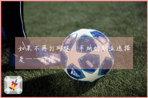 如果不再打网球，辛纳的职业选择是——厨师